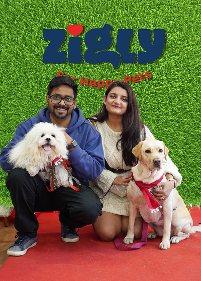 Zigly Donates Used Pet Accessories to Help Homeless Animals, News, KonexioNetwork.com